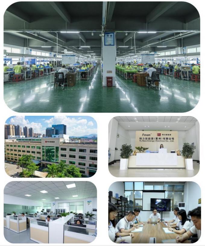 24V 10.4ah 11.6ah Electric Bike Battery Frog Style For Totem Viking Cortina E-GO 10